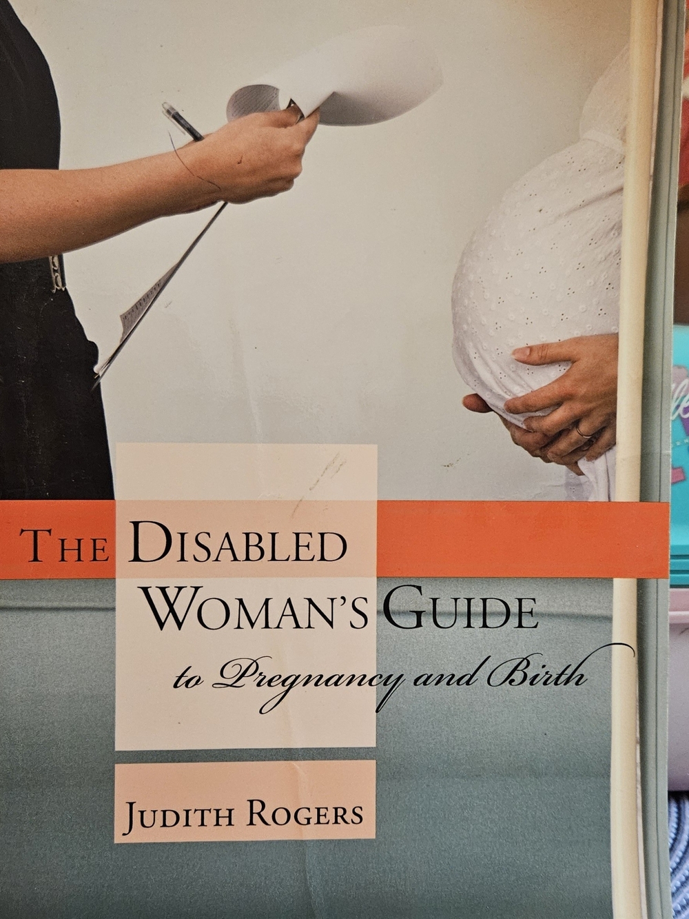 The Disabled Woman's Guide to Pregnancy and Birth